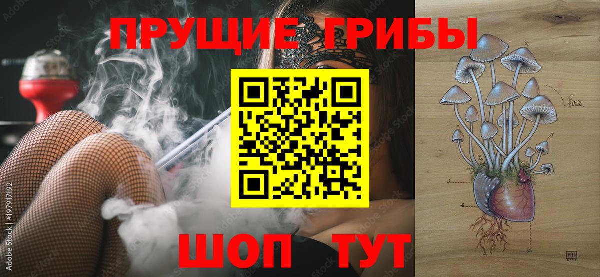 Новокуйбышевск  Псилоцибиновые грибы прущие грибы  хочу   Вход с VPN 